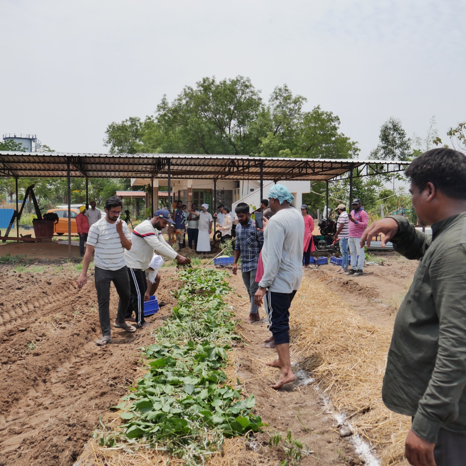 Natural Farming: Vegetable Bed Making