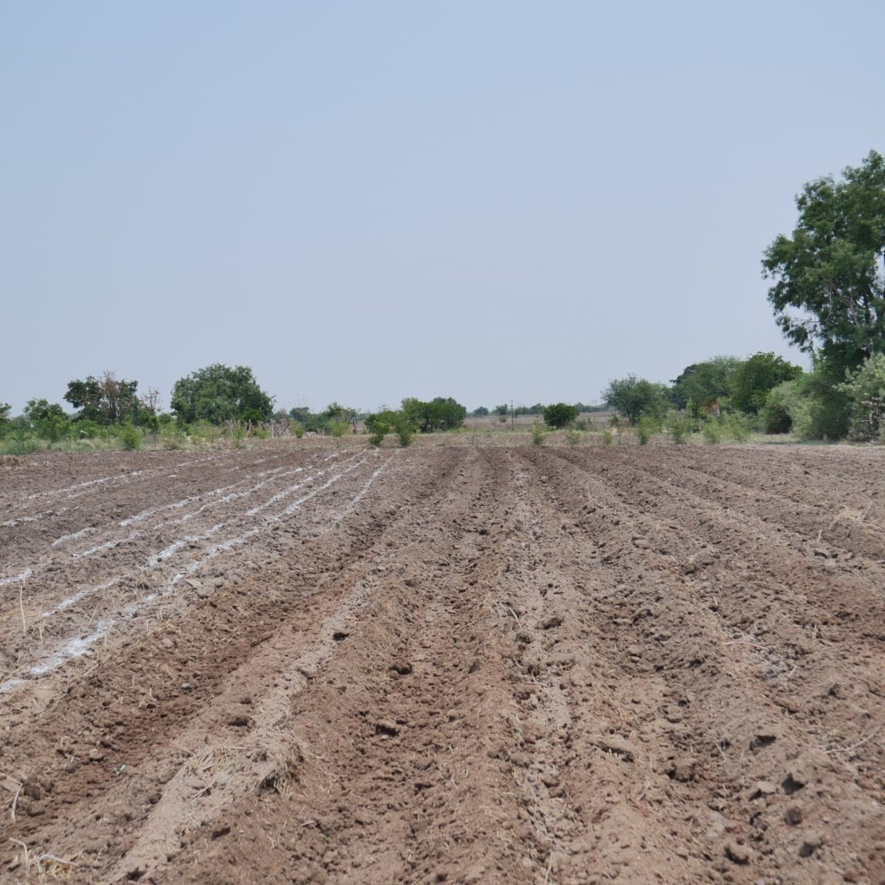 Natural Farming: Vegetable Bed Making